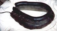 Well-worn pony collar mended with strap and buckle