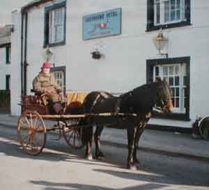 Brown Fell mare and Norfolk cart