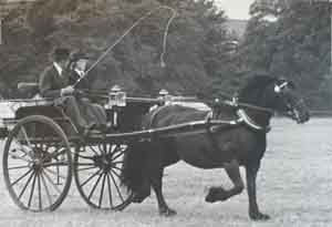 Fell mare and antique ralli car
