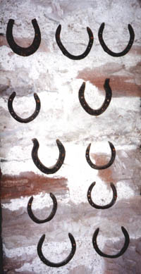 assorted horse shoes