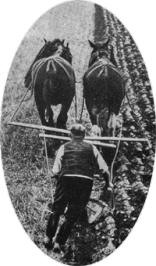 Ploughing with 2 horses - the ploughman's view