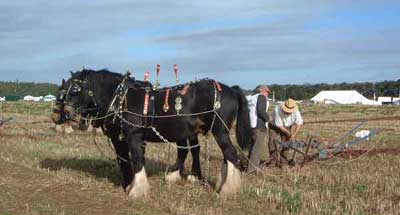 Ploughman adjusting land wheel of plough