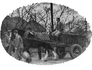 1934 farm cart on cold evening