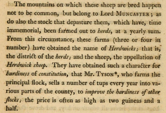 summary text: the sheep have, time immemorial, been farmed out to herds, at a yearly sum. From this circumstance, these farms, three or four in number, have obtained the name of Herdwicks, and the sheep, the appelation of Herdwick sheep.