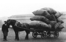 Wool on a horse drawn wagon