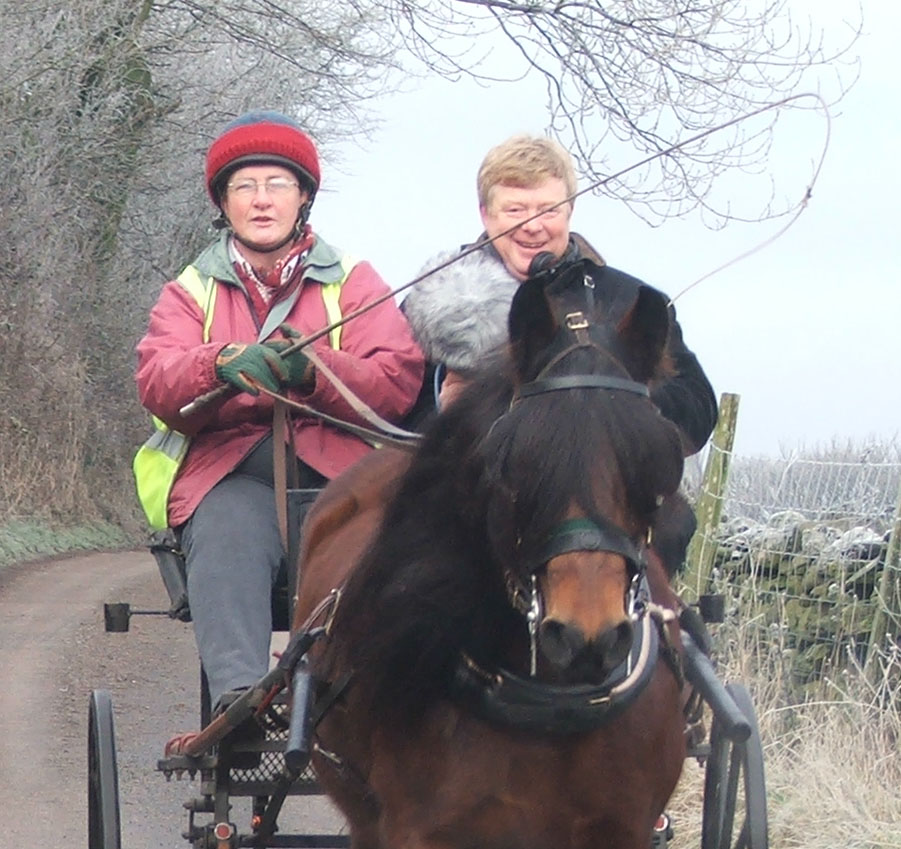 bay fell pony pulling a carriage and two people