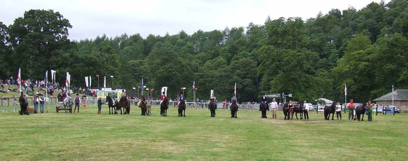 line up of Fell ponies in the main arena at Lowther Show, 2015