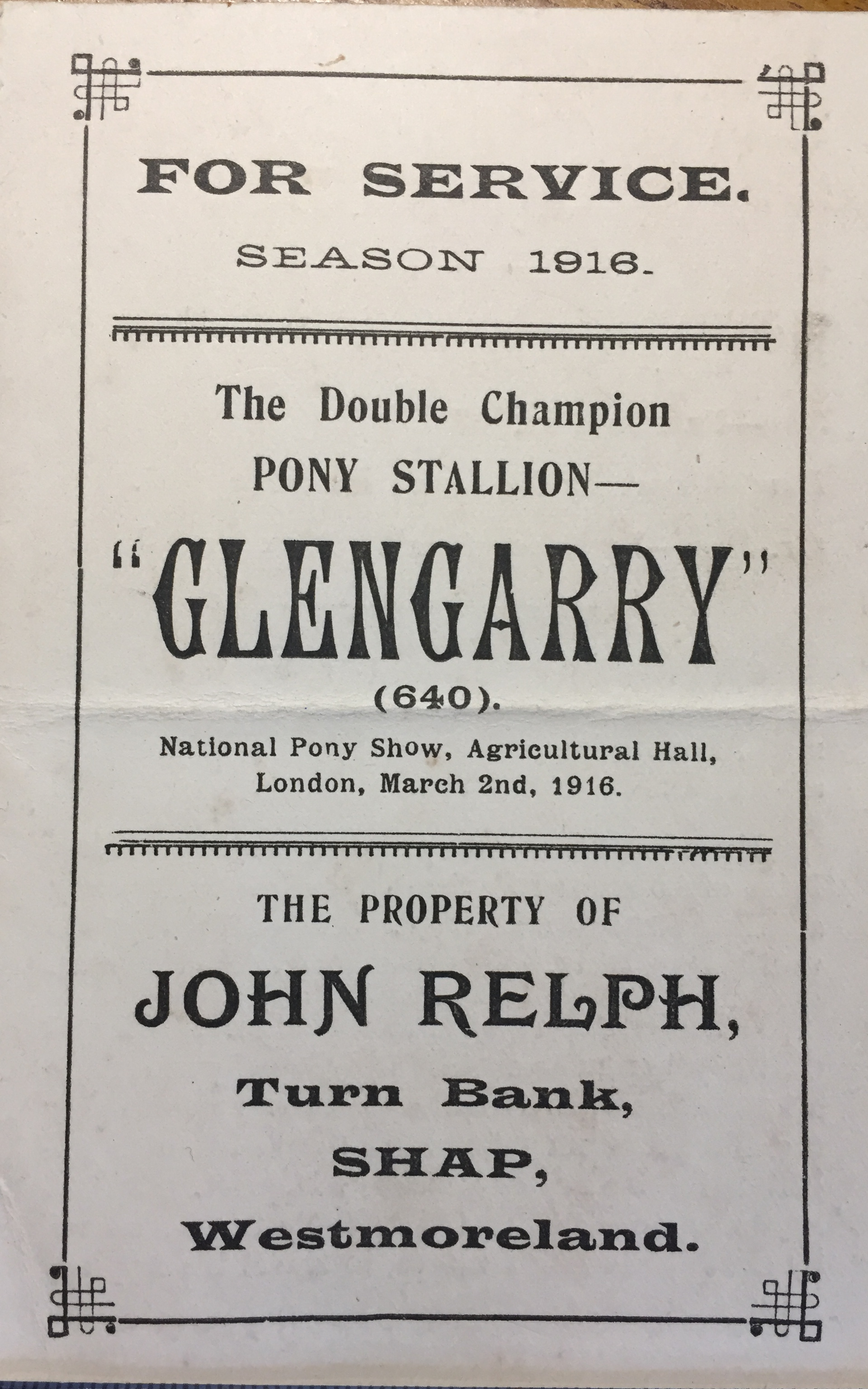 Stud card front for stallion Glengarry