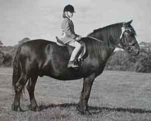 Young girl riding Fell gelding