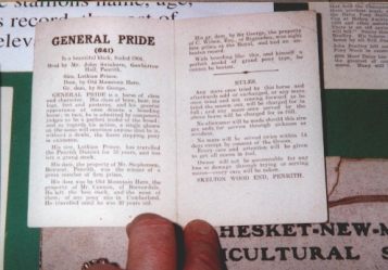 Stud card for General Pride showing service costs and pedigree details