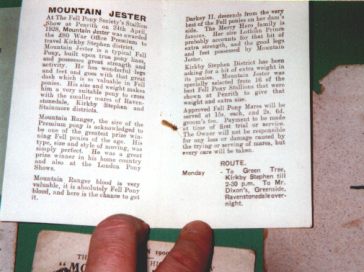 stud card for Mountain Jester showing service costs and pedigree details