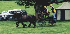Lynn Winder driving Tebay Fell pony pair in competition