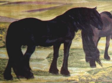 Black stallion with mares