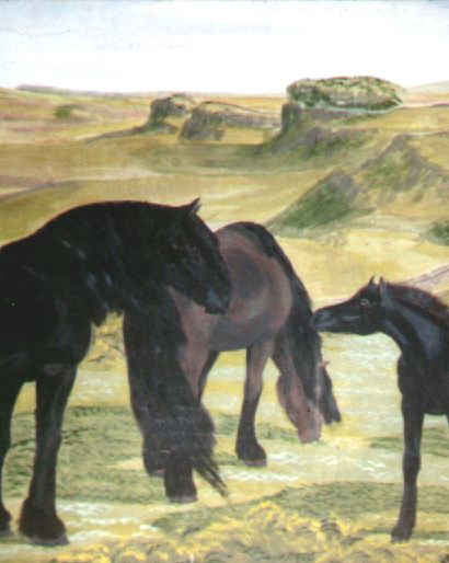 stallion and foal