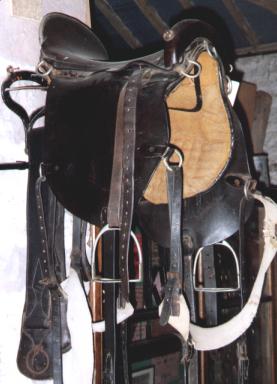 cavalry saddle converted to carry deer